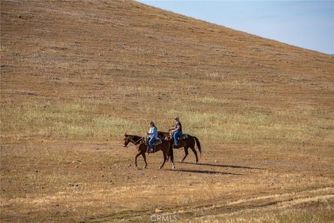 Tiny photo for 2500 Shandon, Shandon, CA 93461 (MLS # NS24052843)