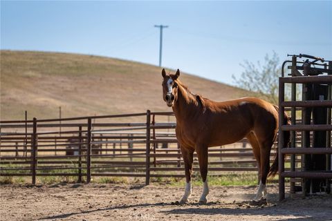 Tiny photo for 2500 Shandon, Shandon, CA 93461 (MLS # NS24052843)