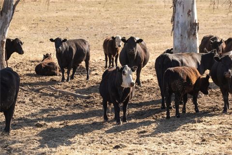 Tiny photo for 2500 Shandon, Shandon, CA 93461 (MLS # NS24052843)