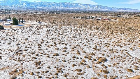 Photo of 1 Daisy, Phelan, CA 92371 (MLS # PW25022621) Photo of 1 Daisy, Phelan, CA 92371 (MLS # PW25022621)