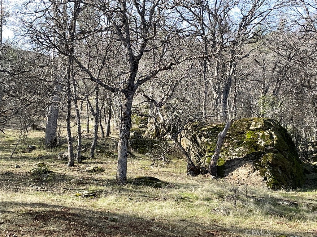Seller May Carry Upon Approval! Experience the Land Forgotten By Time! History abounds on this Gently Sloped 17.8 Acre Parcel. The modest cabin & various other structures date back to a much simpler time when folks could be more self reliant & less dependent upon modern conveniences. Depending upon your definition of treasure, who knows what you might find out here. Owner states that a portion of W. Whitlock Road once looped through this property & the site of a community "outhouse", which no longer exists, might be of particular interest to any antique bottle collectors. Subject Parcel adjoins two, twenty acre parcels of land currently owned by the Bureau of Land Management (BLM). Cabin is currently "off grid" but Electric is very close by. There is a developed Spring that once provided water for domestic purposes.