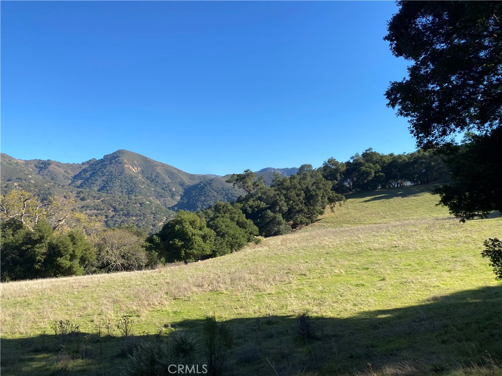 0 Upper Lopez Canyon Rd.