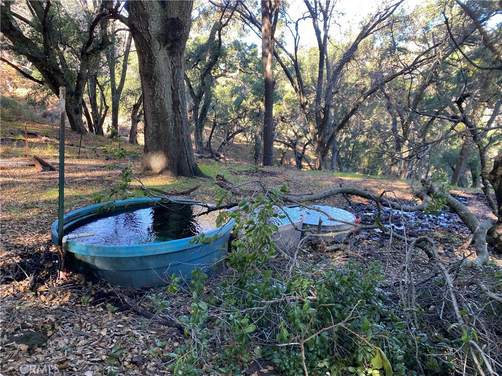 0 Upper Lopez Canyon Rd.