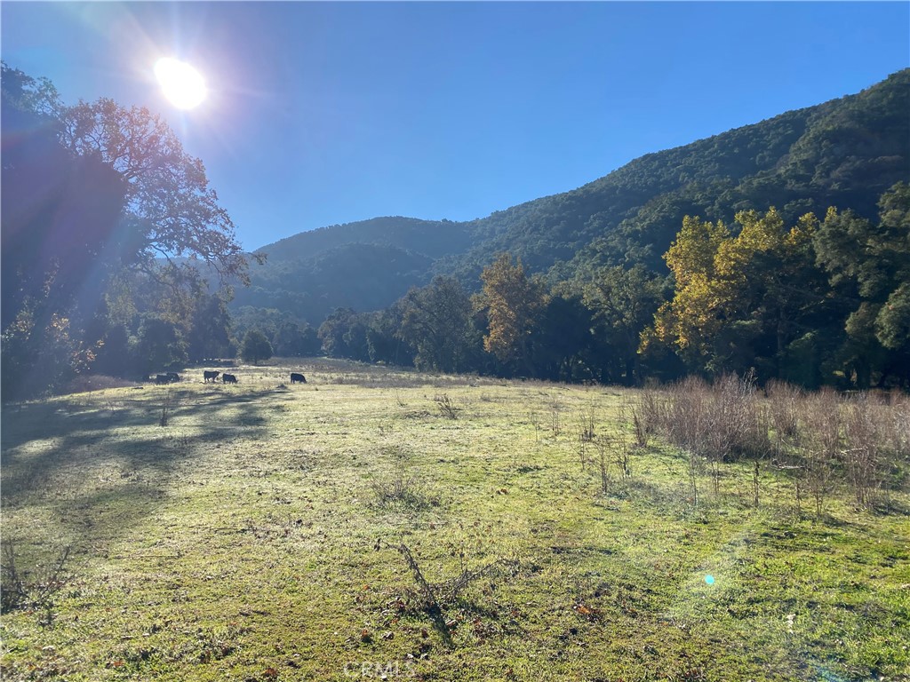 0 Upper Lopez Canyon Rd.