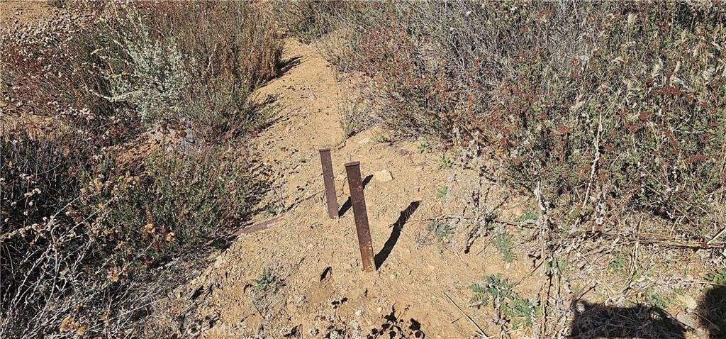 Custom Acton (CACTO) - Land