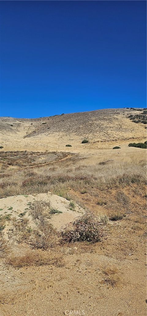 Photo of 0 31st Street West/Shannon Valley Road, Acton, CA 93510 (MLS # SR23184683)