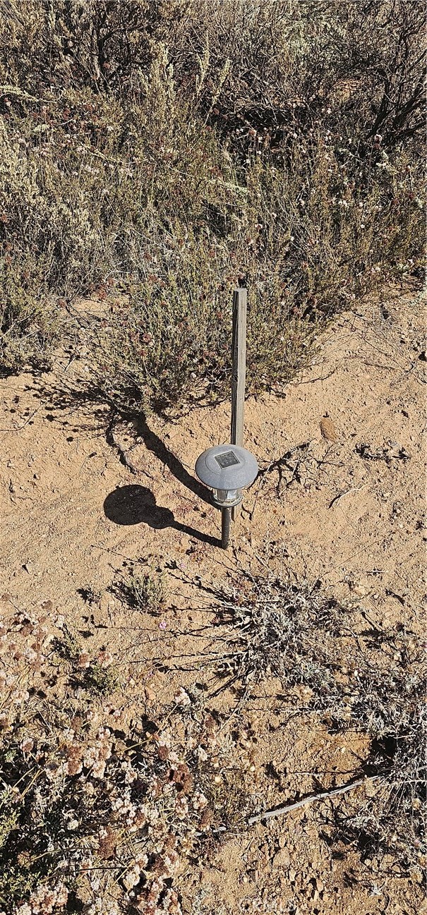 Custom Acton (CACTO) - Land