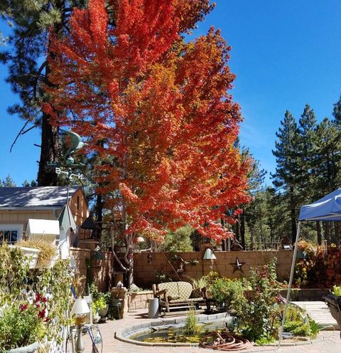 A home in Big Bear Lake