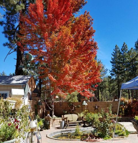 A home in Big Bear Lake