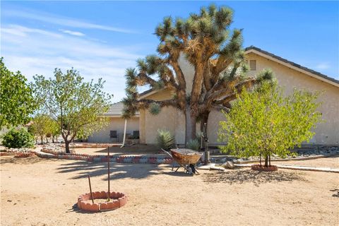 A home in Yucca Valley