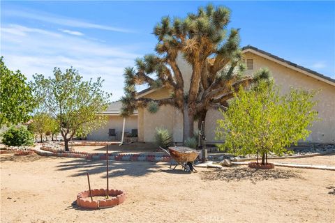 A home in Yucca Valley