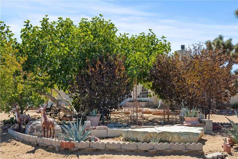 A home in Yucca Valley