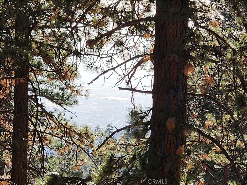 Lower Rowco (LORW) - Land