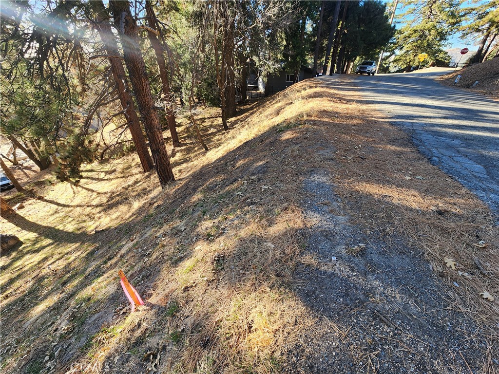 Lower Rowco (LORW) - Land