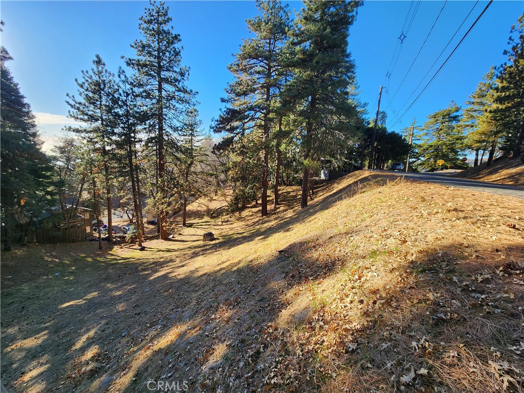 Lower Rowco (LORW) - Land