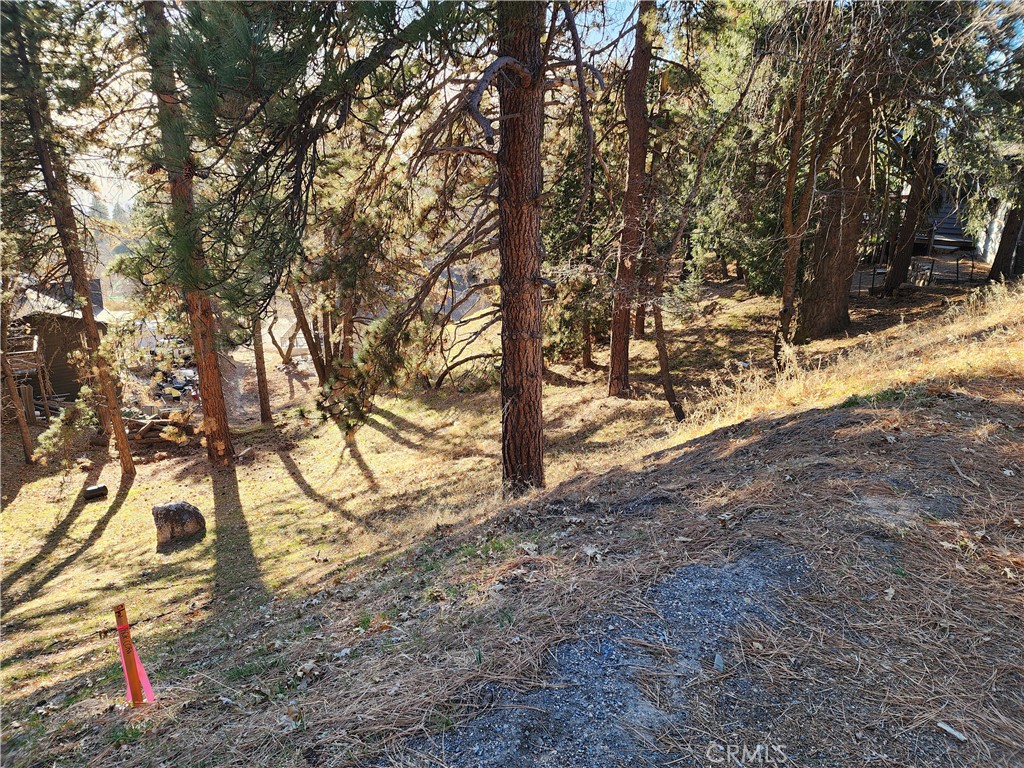 Lower Rowco (LORW) - Land