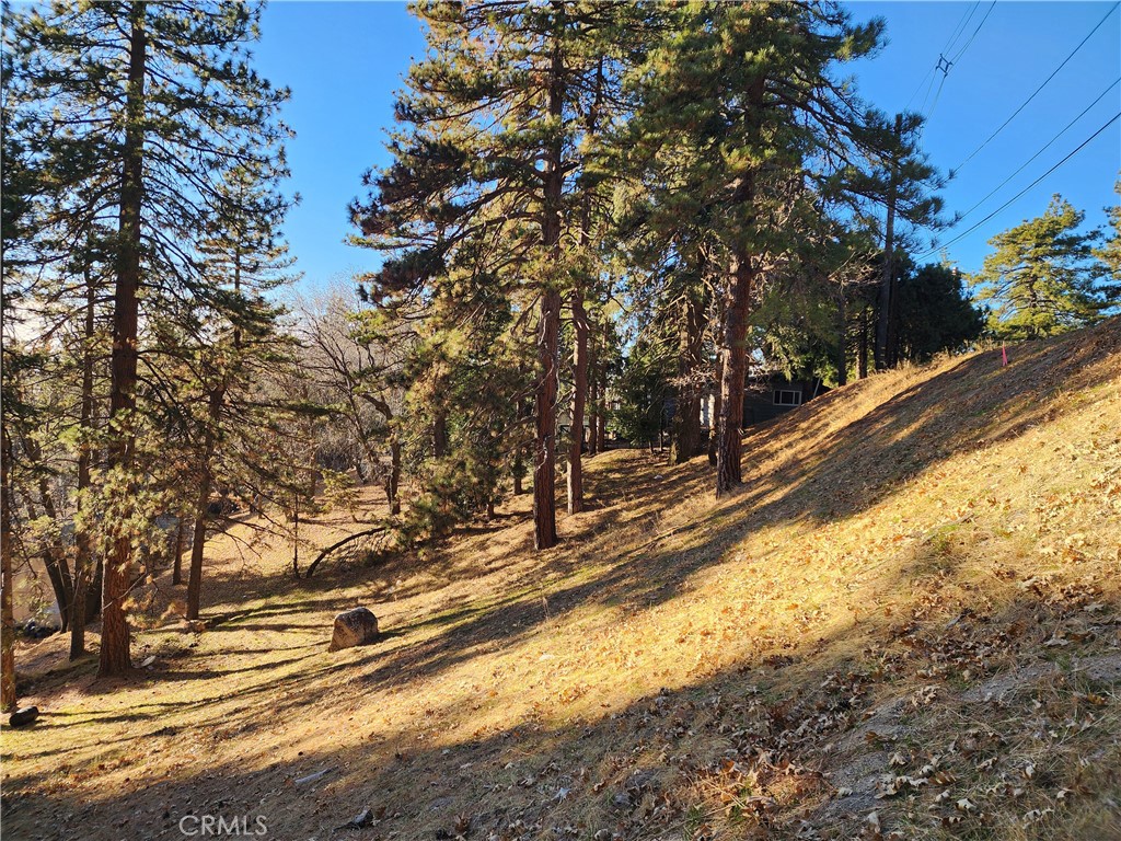 Lower Rowco (LORW) - Land