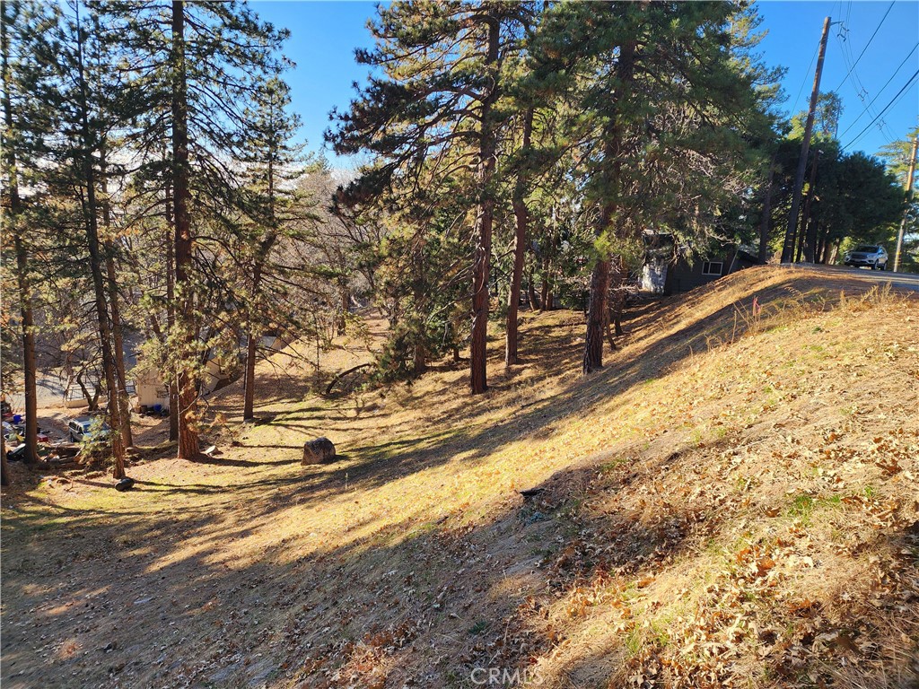 Gorgeous valley view/city lights view lot with woodsy park-like setting near downtown Running Springs and popular Snow Valley Skiing! Lot has large (approx. 86 FT) street frontage on paved & maintained Ferndale Drive. At approx. 7,721 SQ FT, this lot has plenty of space to allow multiple building options. Slope topography is moderate downslope that levels out to provide great usable yard potential and help keep building costs down. Property corners have recently been marked with recent survey & topography provided for the lucky Buyer to help move the home design process along much quicker. All utilities (water,sewer,gas,electric,high speed internet,phone,cable) are all conveniently located at or near the street. SELLER MAY CARRY/FINANCE with a reasonable down payment. Don't miss this fantastic opportunity...make your offer today!