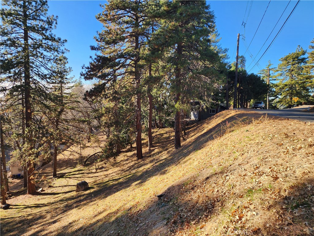 Lower Rowco (LORW) - Land