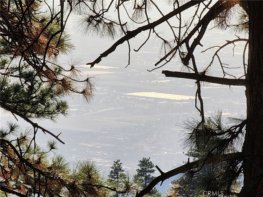 Lower Rowco (LORW) - Land