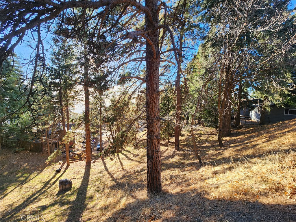 Lower Rowco (LORW) - Land