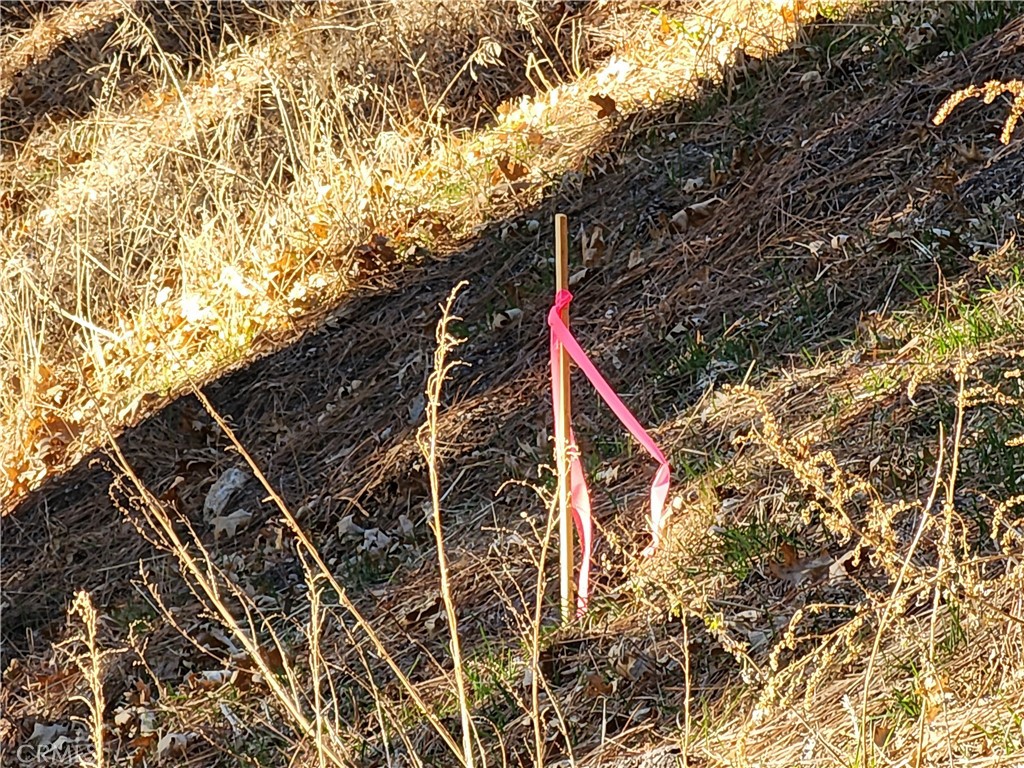 Lower Rowco (LORW) - Land