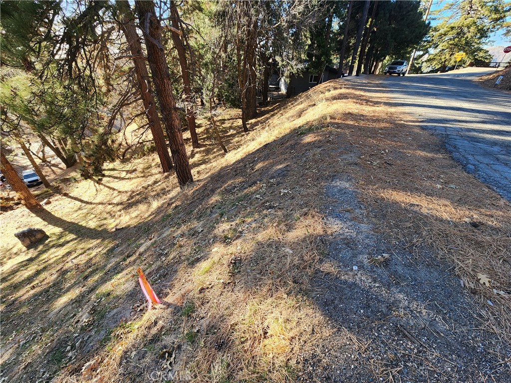 Lower Rowco (LORW) - Land