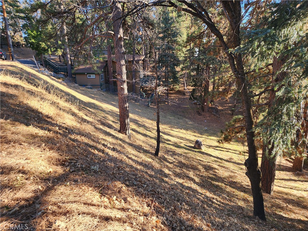 Lower Rowco (LORW) - Land