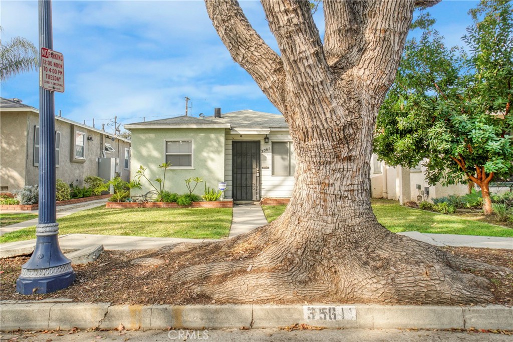 3561 Olive Avenue