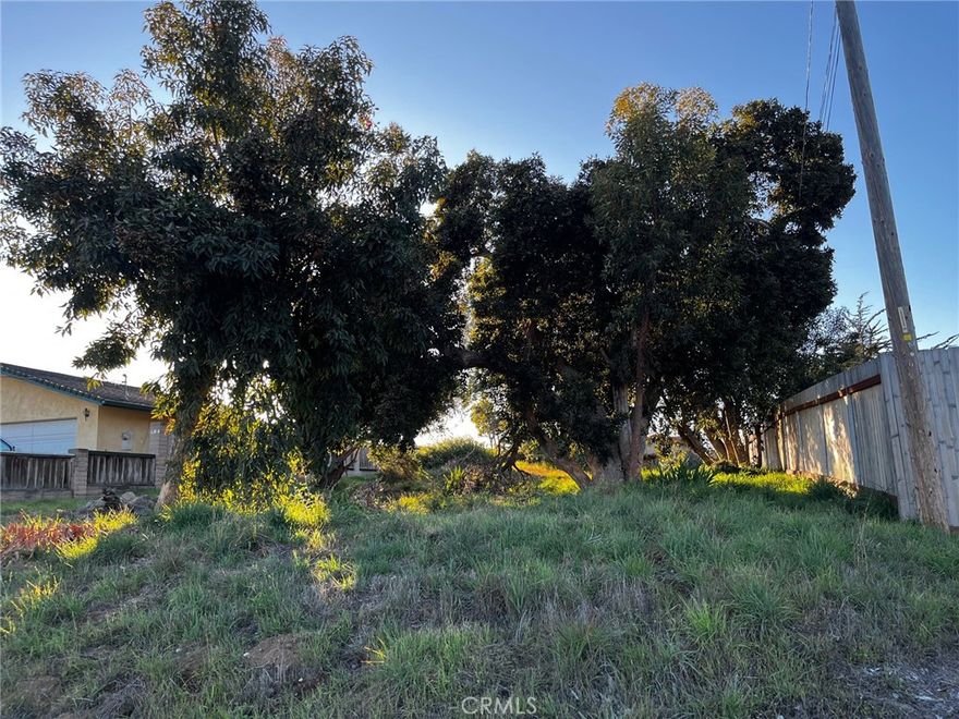 Here’s your chance to purchase a 50’ x 125’ vacant lot in the wonderful bayside community of Los Osos.  Located close to the delightful Elfin Forest Nature path offering beautiful scenic views of the Morro Bay Estuary, sand dunes, Morro Rock and the surrounding hills.  Discover the wide-open spaces, the truly breathtaking Montaña de Oro State Park, the unique feel of Baywood Park and the varied shopping and dining options our small town offers.  This lot sits at #112 on the County’s Los Osos Wait List to build.  Check with SLO County Planning and Building regarding building potential on vacant lots in Los Osos. You’ll find lots of good info at 

https://www.slocounty.ca.gov/departments/planning-building/grid-items/communities-villages/los-osos