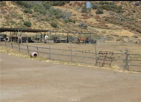 A home in Leona Valley