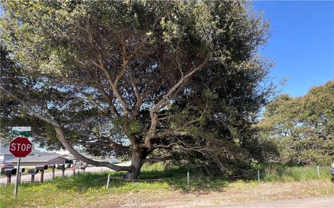 Tiny photo for 1840 Pine Avenue, Los Osos, CA 93402 (MLS # SC25063093)