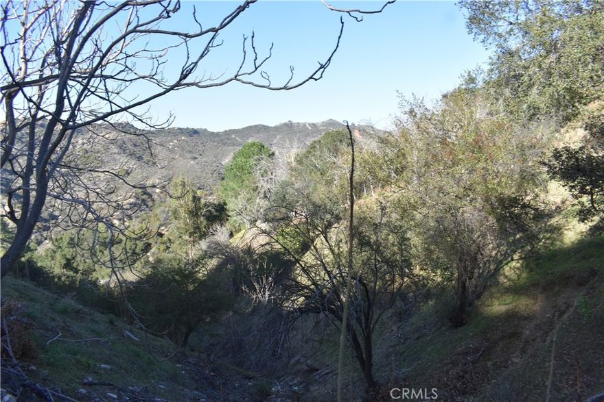 This vacant lot located in Cedar Glen is a very desirable piece of land in the mountains of  Southern California! Don't miss this opportunity!