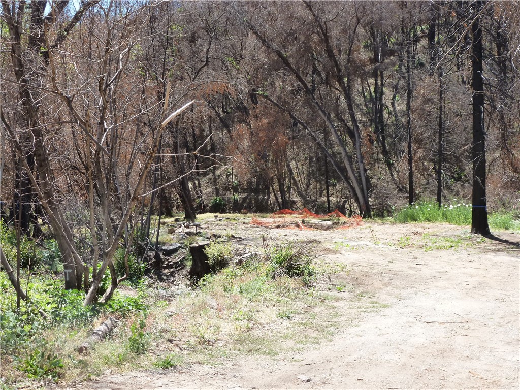 TWO CREEKS, 6.24 acre parcel on Oro Quincy Hwy, above Lake Oroville, has one year-round and one seasonal creek. Located just south of Bald Rock Road, this is an L-shaped parcel, beginning at Fairweather, with over 300 feet of frontage along Oro Quincy Hwy. The property extends an additional 500 feet behind the adjacent parcel. Canyon Creek runs through the property behind the homesite, and there is a seasonal creek, closer to the road. The home burned but the well and septic remain. Property has been cleaned of debris and has a Certificate of Completion issued by Butte County.