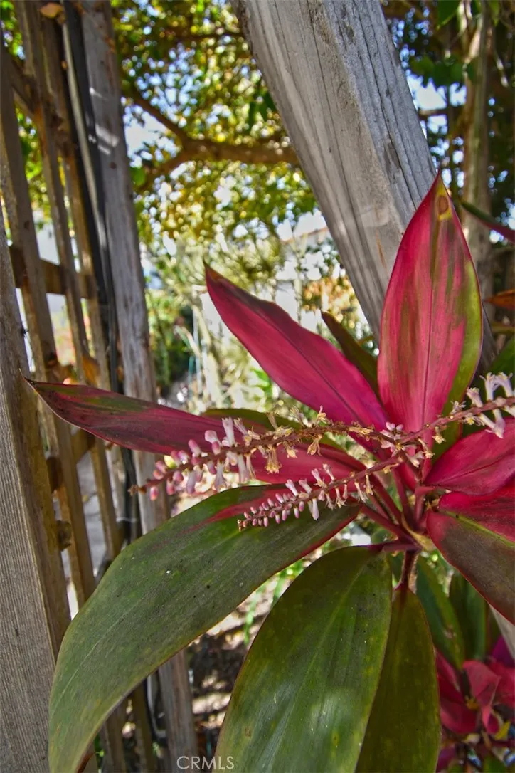 Los Angeles, California 90035, United States, 4 Bedrooms Bedrooms, ,3 BathroomsBathrooms,Residential,Active,21890