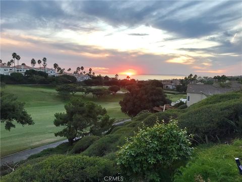 A home in Dana Point