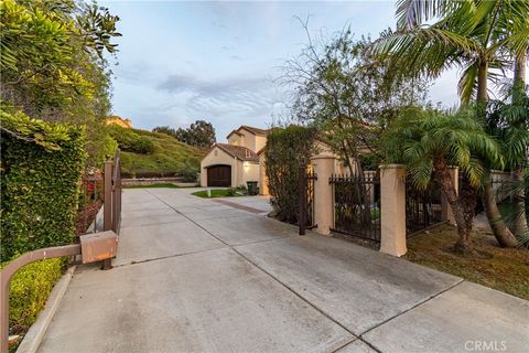 A home in Dana Point