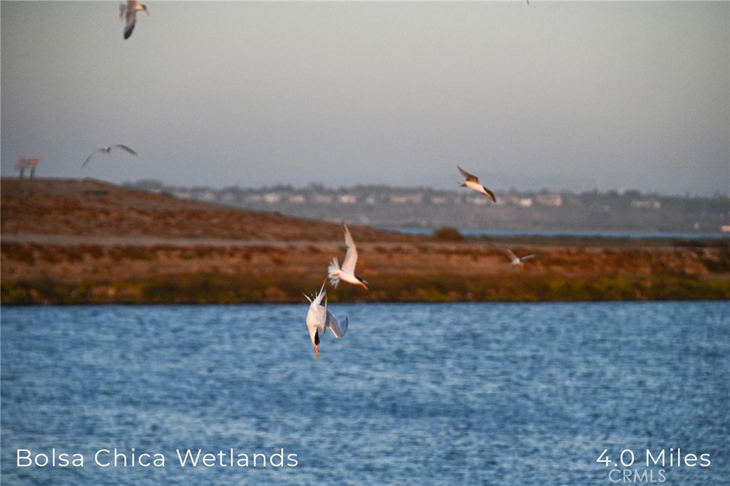 Downtown Area (DOWN) - Residential