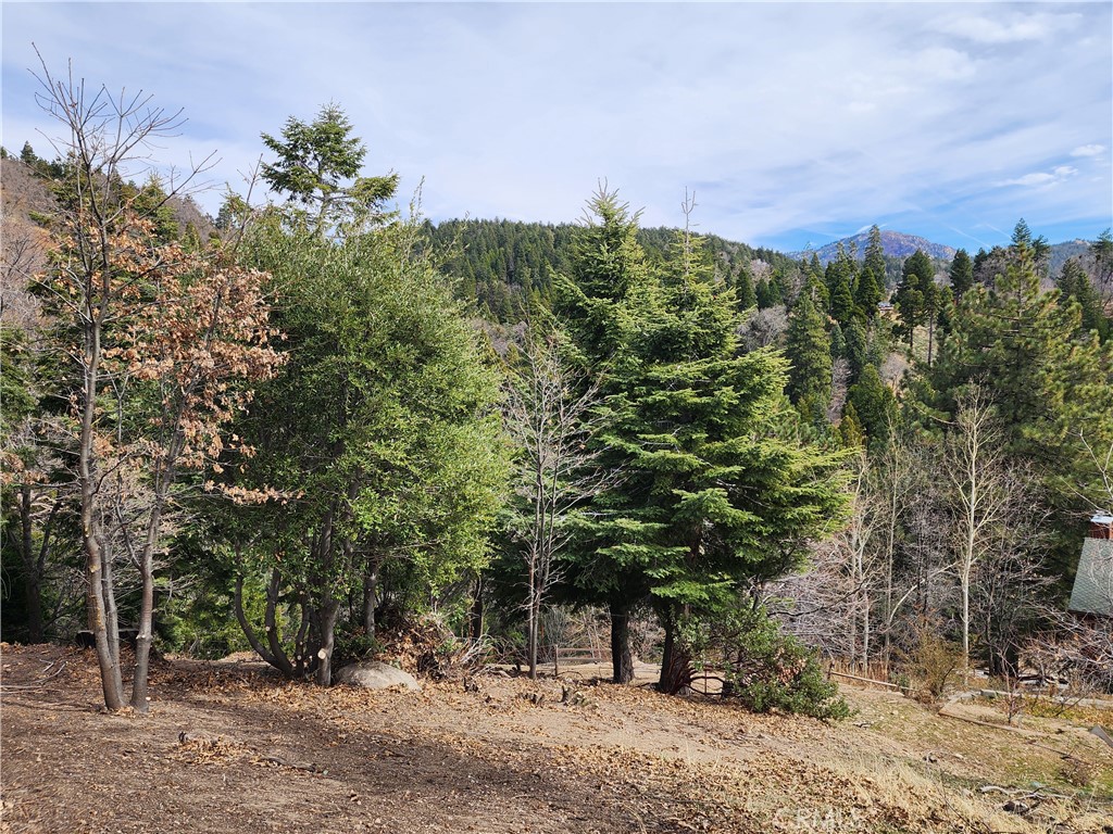 Running Springs (RUSG) - Land