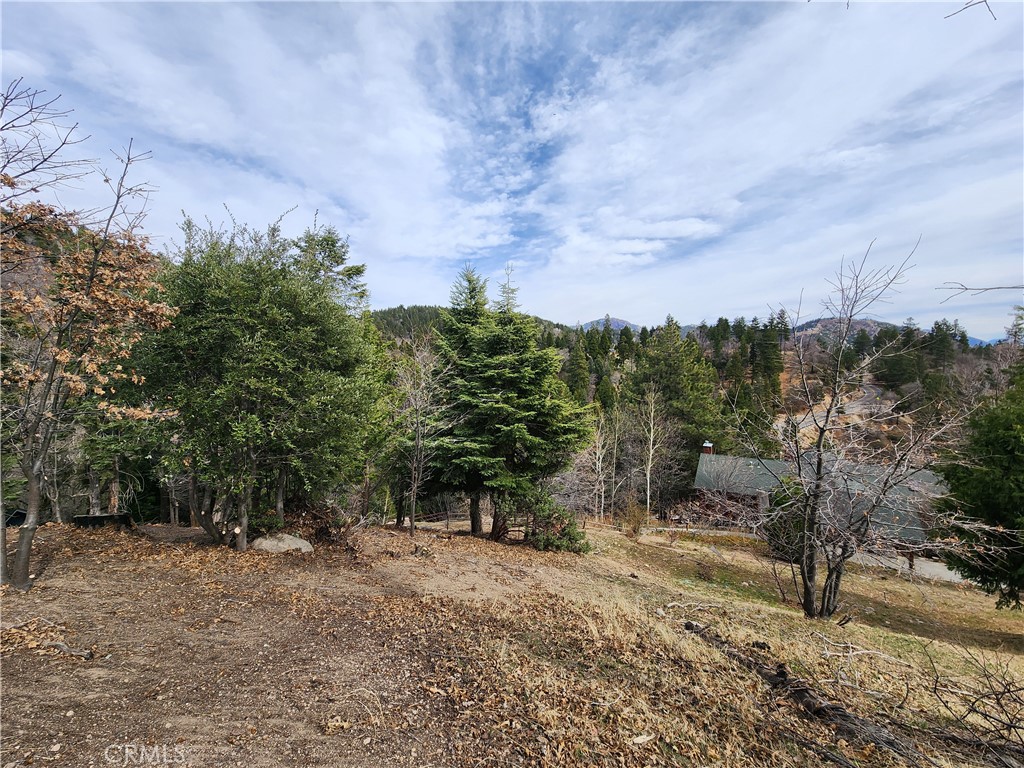 Running Springs (RUSG) - Land