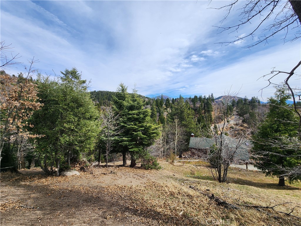 Running Springs (RUSG) - Land