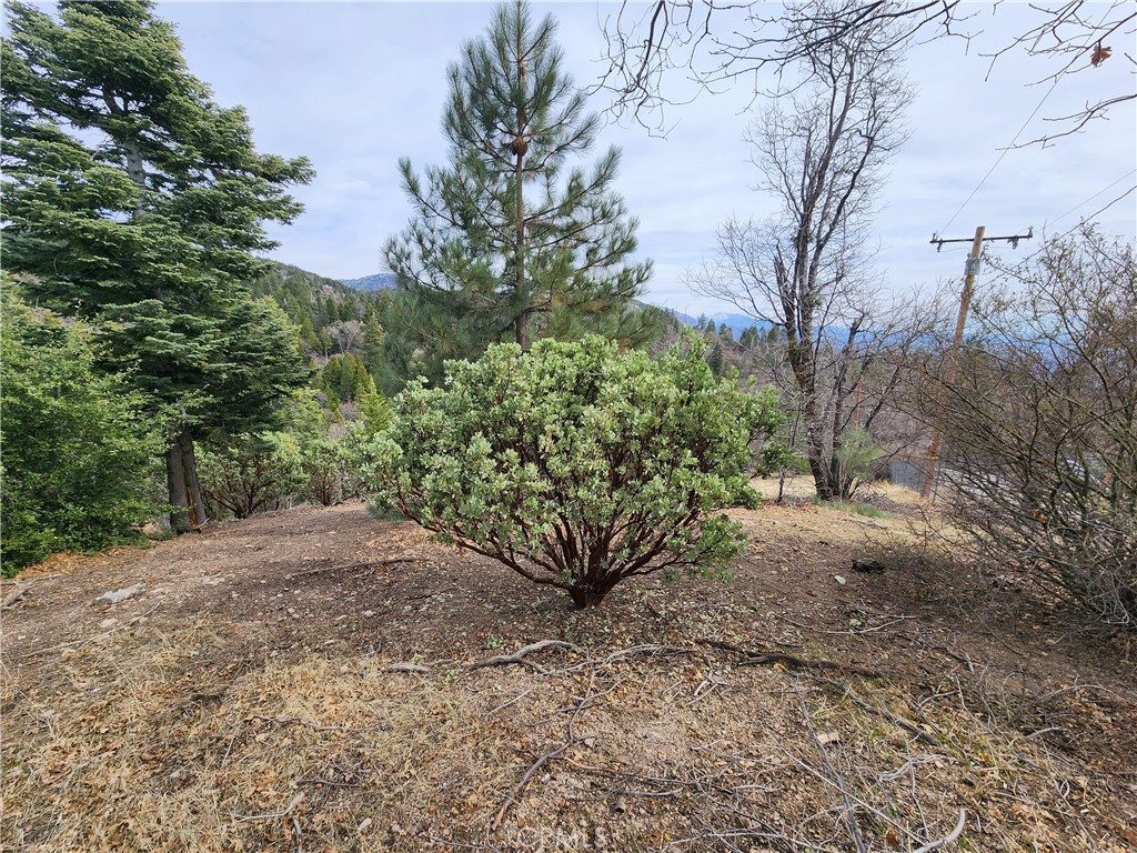 Running Springs (RUSG) - Land