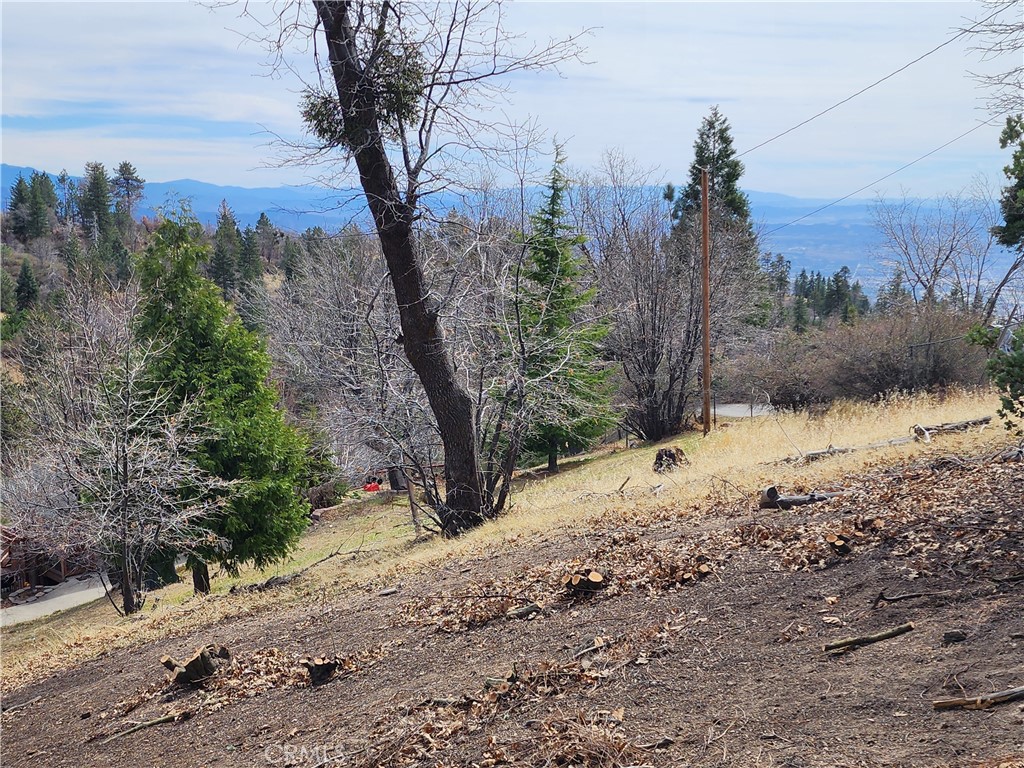 Running Springs (RUSG) - Land