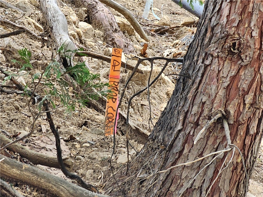 Running Springs (RUSG) - Land