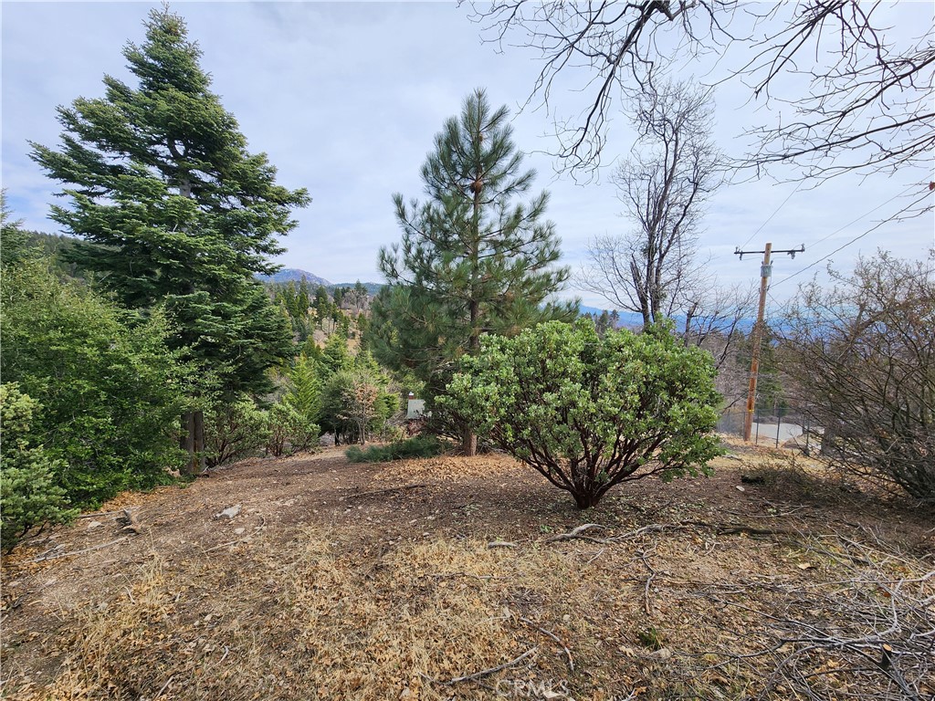 Running Springs (RUSG) - Land