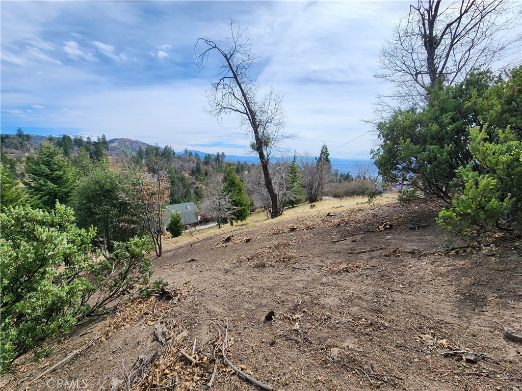 Running Springs (RUSG) - Land