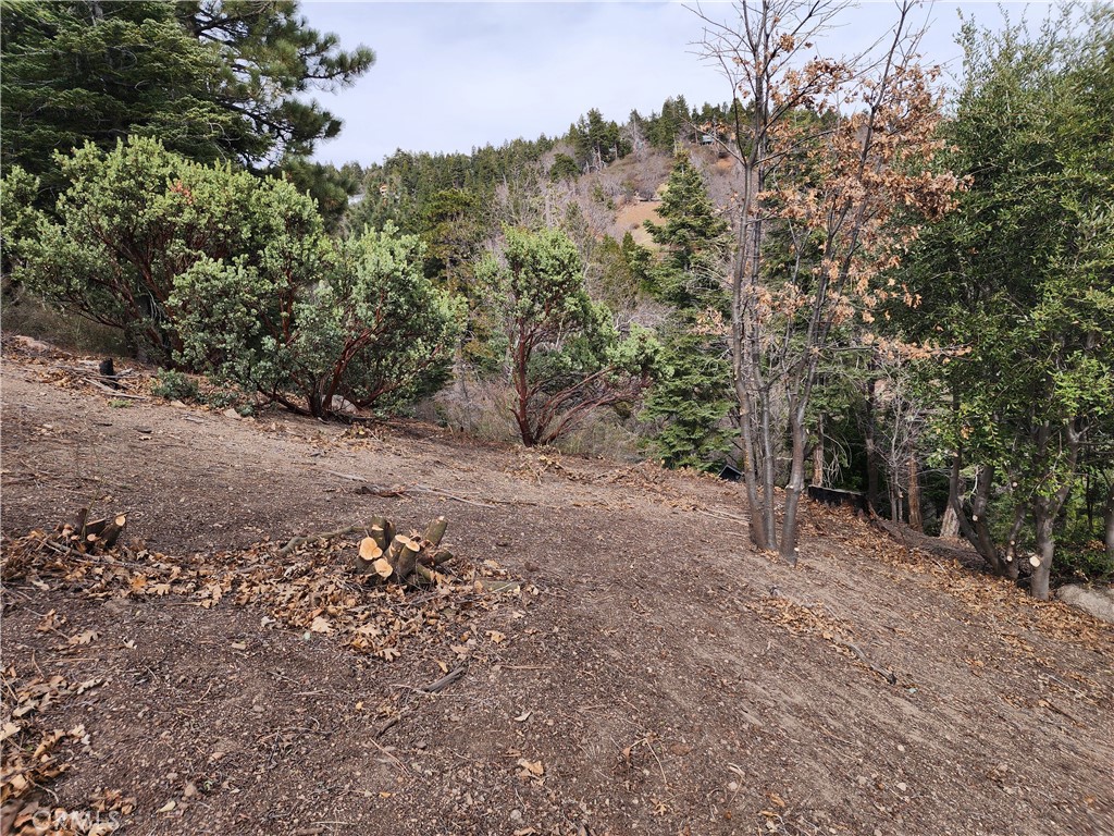 Running Springs (RUSG) - Land