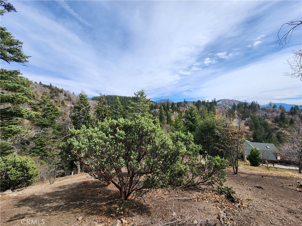 Running Springs (RUSG) - Land