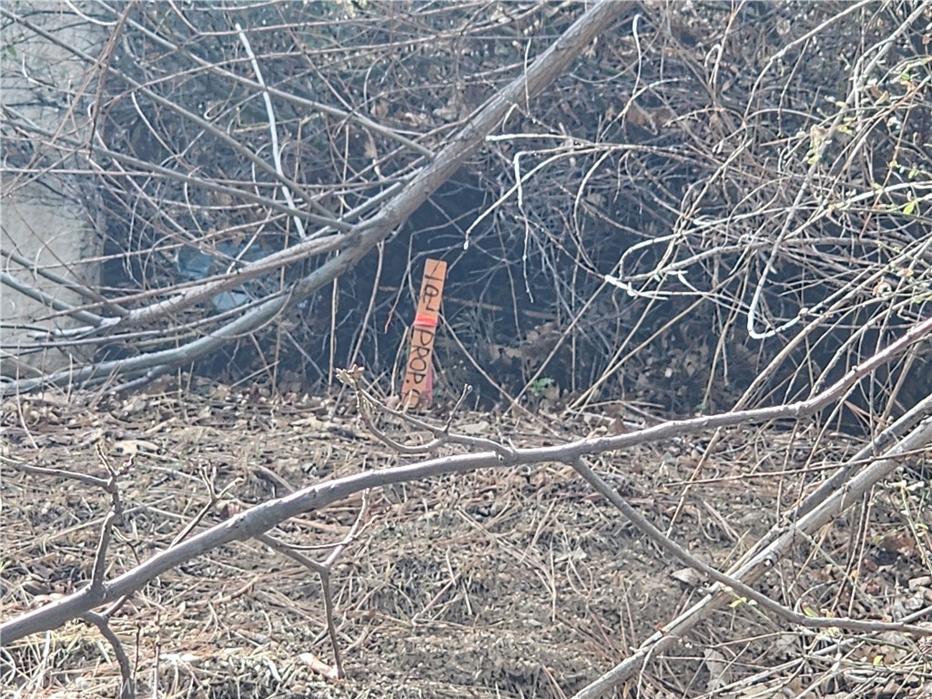 Running Springs (RUSG) - Land