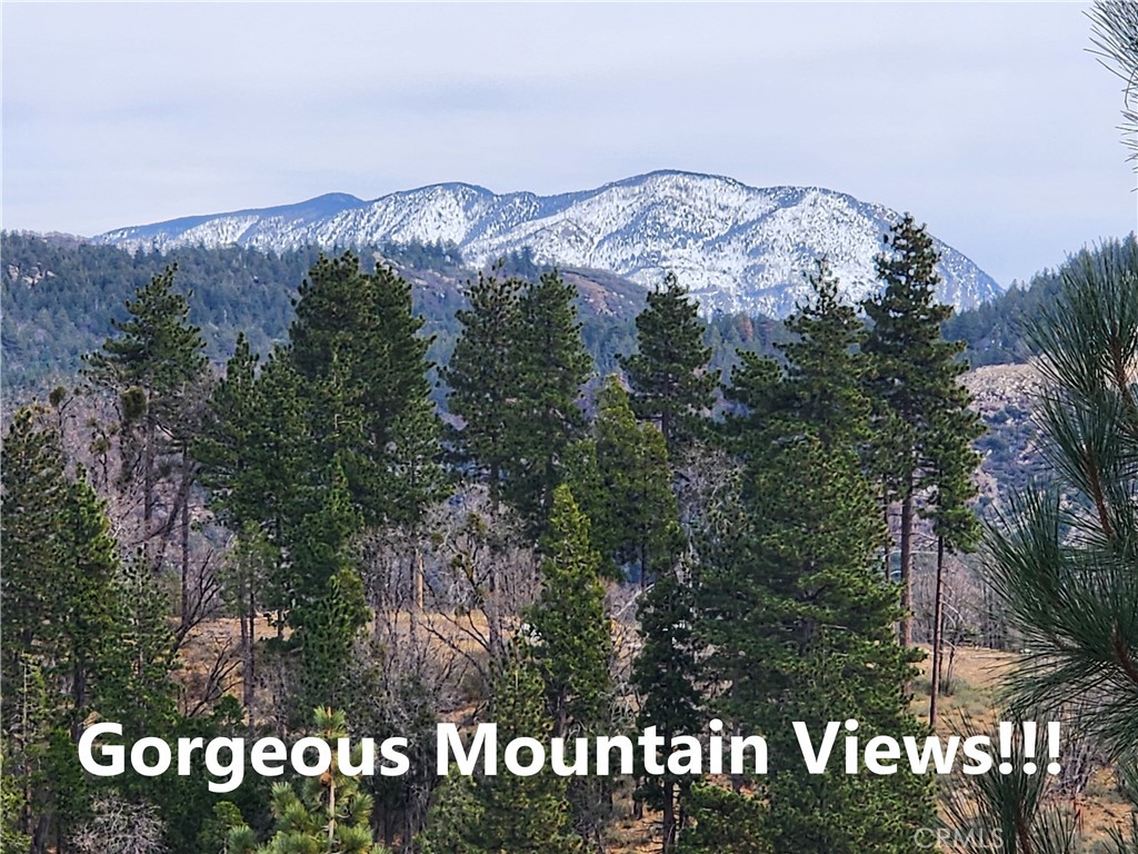 Huge gorgeous valley view/city lights view lot with great sense of privacy! This large lovely property is approx. 18,700 SQ FT (approx. .429 Acres) with a lush forested setting and big beautiful custom homes with acreage on the South and West sides of this property. There is a gentle paved private road with deeded access up from Old City Creek to allow for easier access to where the gorgeous view are. All utilities (water, sewer, gas, electric, phone,internet,cable) are conveniently located at or near the paved county maintained street. No HOA or Mello Roos! Property has recent survey & topography completed so you can immediately start planning your custom mountain dream home, saving time and money! The property has also recently been thinned out of overgrowth vegetation to create a park-like woodsy setting and improve the overall combination of valley views/city lights views/distant mountain views throughout the lot. Downtown Running Springs is just a few minutes away and Snow Valley Skiing is 15 to 20 minutes away as well. OWNER MAY CARRY/FINANCE WITH REASONABLE TERMS! Don't miss out on this unique opportunity...make your offer today!